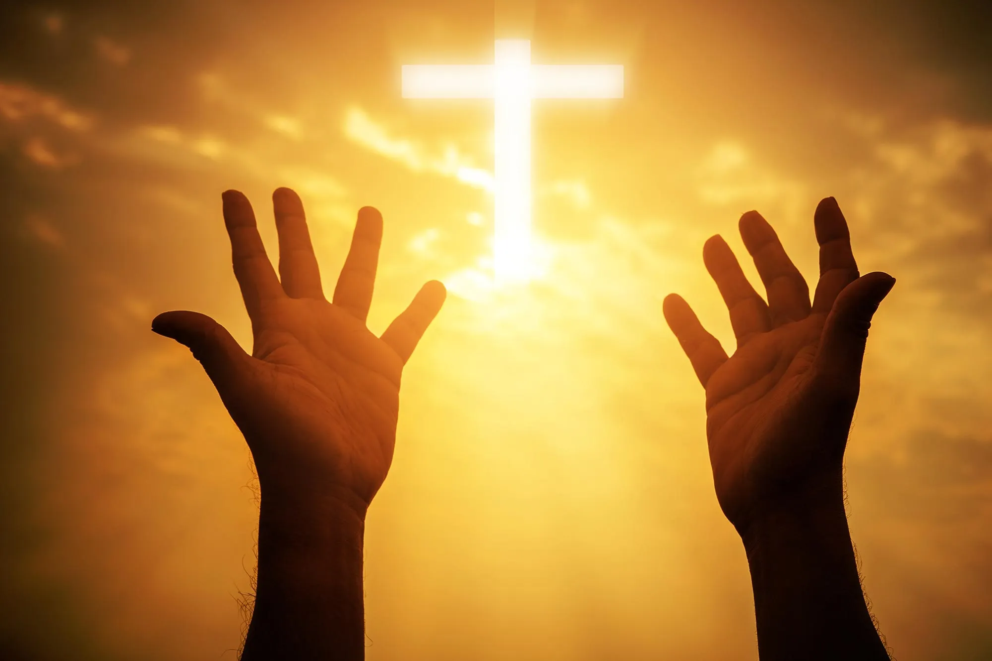 The Healing Balm of Service: The Power in Turning Outward